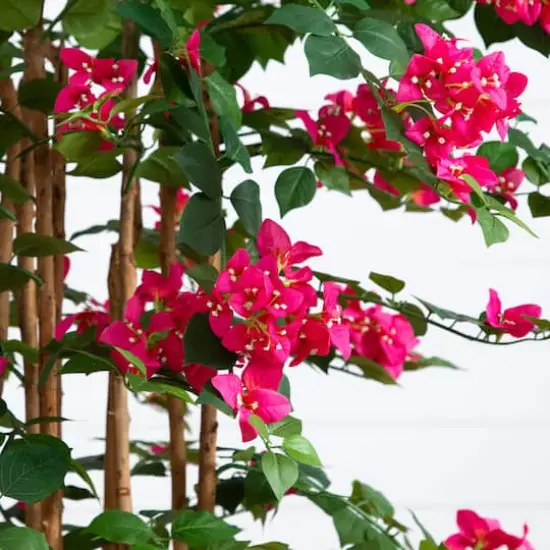 5ft. Artificial Deluxe Bougainvillea Tree {4}