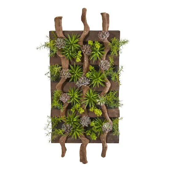 3.5ft. Mixed Succulent Wall {1}