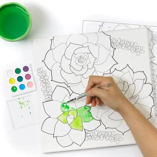 Faber-Castell Succulents Paint by Number Watercolor Set {4}