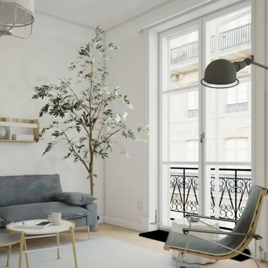 8ft. Potted Olive Tree {8}