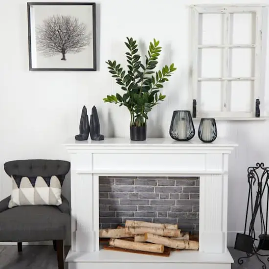 3ft. Potted Zamioculcas Plant {4}