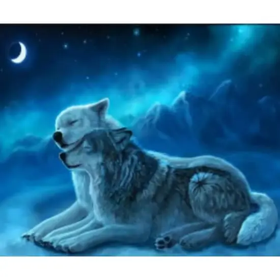 Sparkly Selections Two Wolves Under the Moon Diamond Art Kit, Square Diamonds {1}