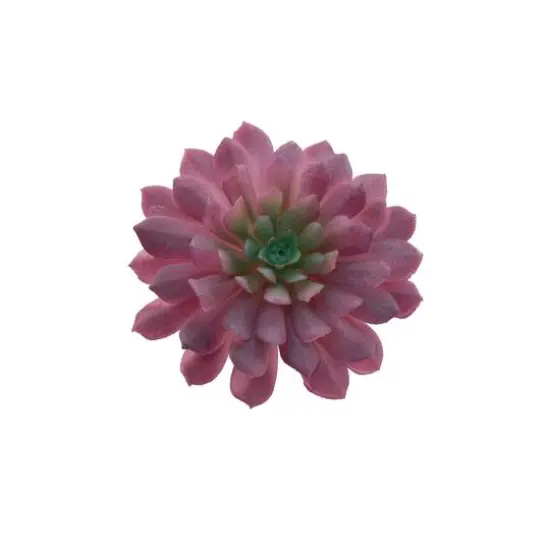 Flora Bunda&reg; Red Succulent Pick, 6ct. {1}