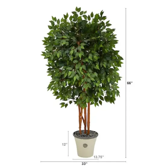 5.5ft. Super Deluxe Ficus Tree in Decorative Planter {3}