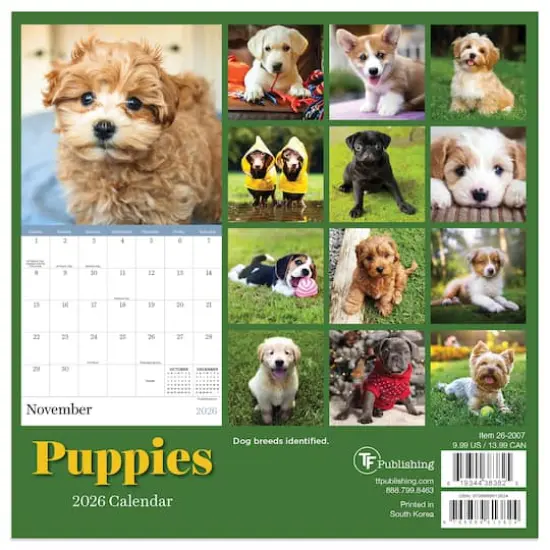 2026 Puppies Mini Calendar {6}