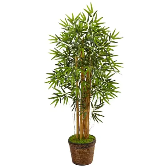 4.5ft. Bamboo Tree in Coiled Rope Planter {1}