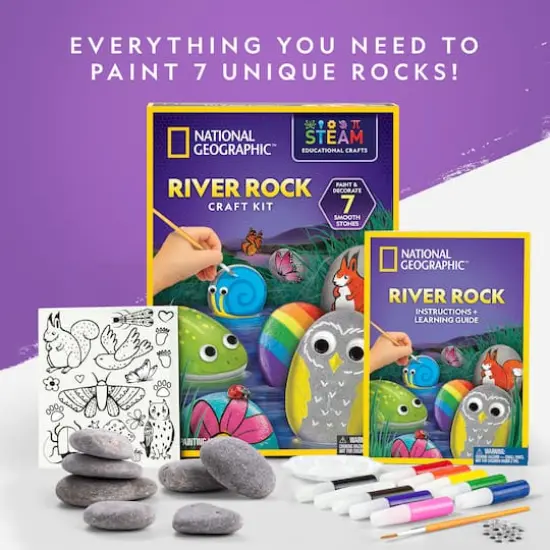 National Geographic&trade; River Rock Craft Kit {3}