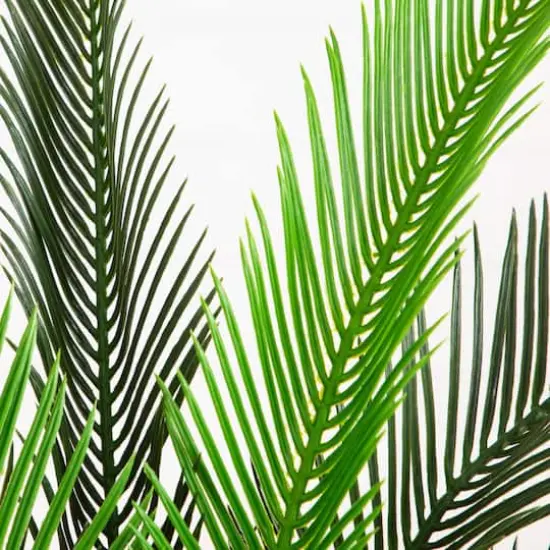 40in. UV Resistant Artificial Double Cycas Palm Tree in White Decorative Planter (Indoor/Outdoor) {4}