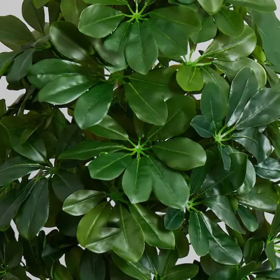 3ft. Umbrella Tree in White Vase {4}