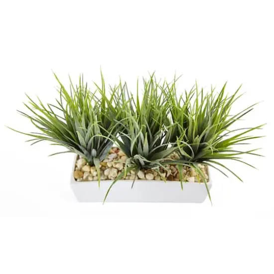 12" Vanilla Grass in White Rectangular Planter {4}