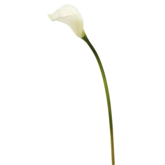 26'' Artificial White Calla Lily Stem, 6ct. {1}