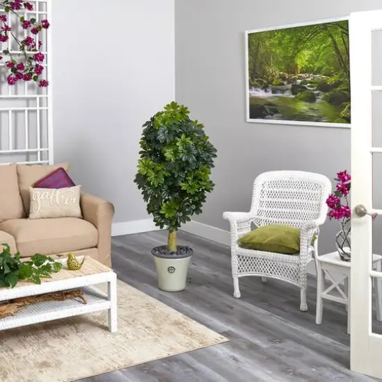 5ft. Umbrella Tree in Decorative Planter {5}