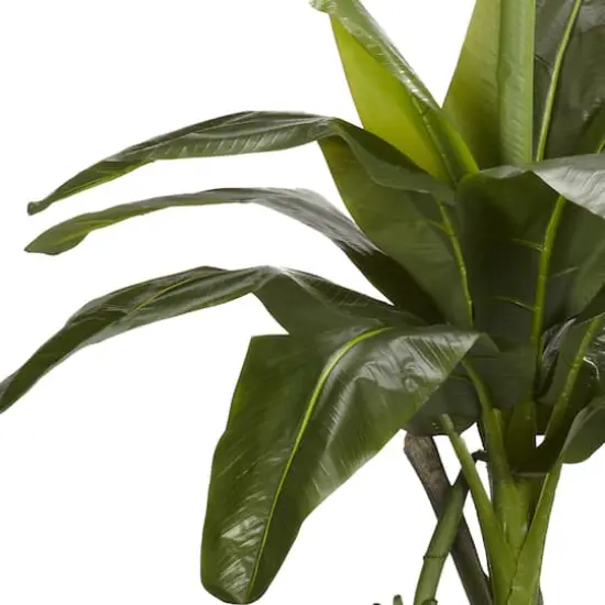 6ft. Potted Banana Tree {4}