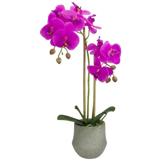 14" Purple Orchid Plant in Gray Stone Pot {1}