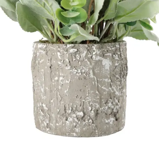 11" Lamb's Ear in Cement Pot {3}