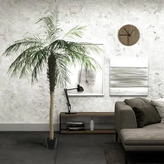 8ft. Potted Phoenix Palm Tree {8}