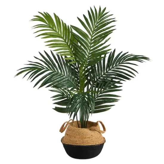 4ft. Kentia Palm Artificial Tree in Boho Chic Handmade Cotton & Jute Black Woven Planter {1}
