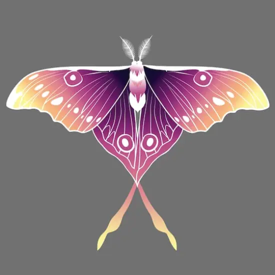 4" x 4" Moths Canvas Painting Kit by Craft Smart&reg; {3}