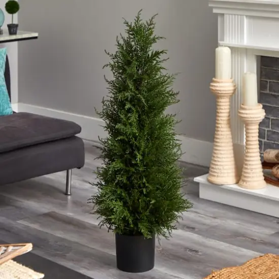 3.5ft. Potted Cedar Tree {3}