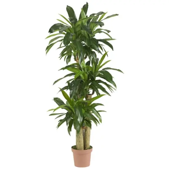 5ft. Corn Stalk Dracaena Silk Plant  {1}