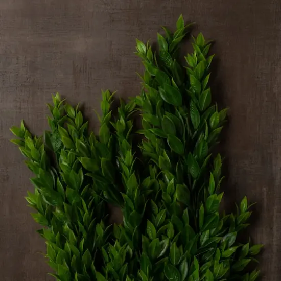 Hanging Ruscus Bush by Ashland&reg; {4}