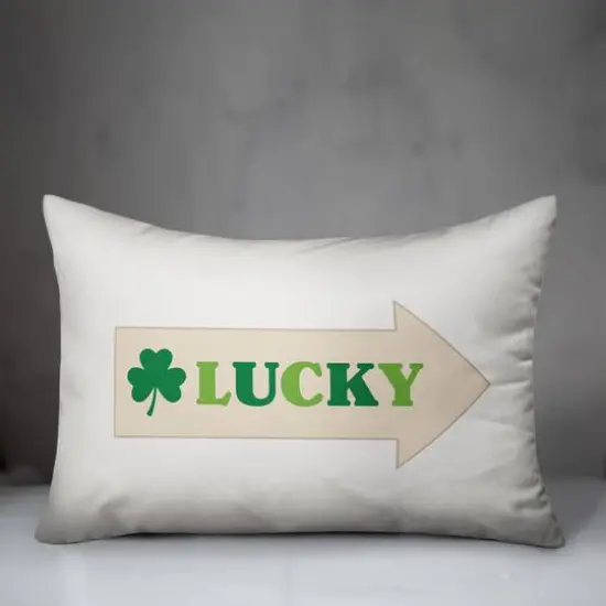 Lucky Arrow 14" x 20" Throw Pillow {4}