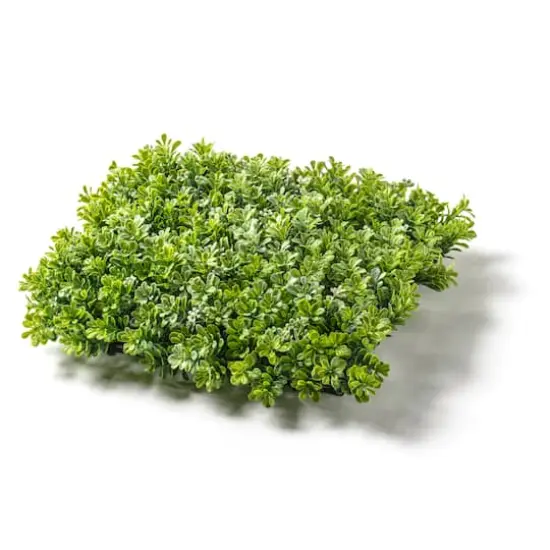 Large Boxwood Mat by Ashland&reg; {5}