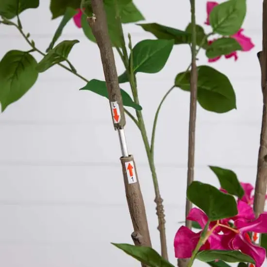 7ft. Potted Pink Minimalist Bougainvillea Tree {6}