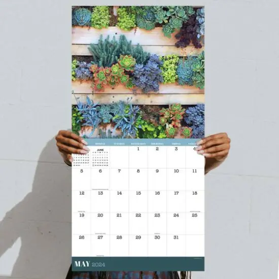 TF Publishing 2024 Succulents Wall Calendar {6}
