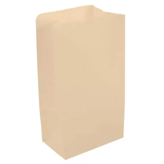 JAM Paper Ivory Large Lunch Bags, 500ct. {1}
