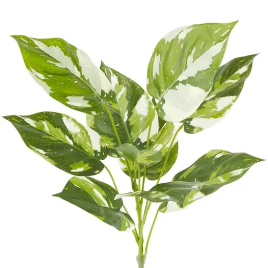 Green & White Pothos Bush by Ashland&reg; {3}