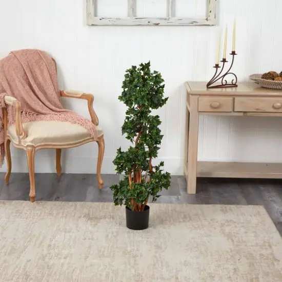 3.5ft. Potted English Ivy Spiral Tree {6}