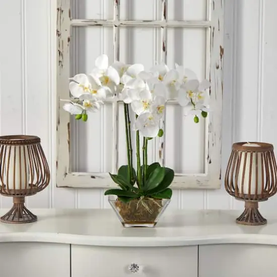 22" White Triple Orchid in Glass Vase {3}
