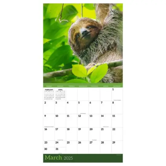TF Publishing 2025 Sloths Wall Calendar {5}