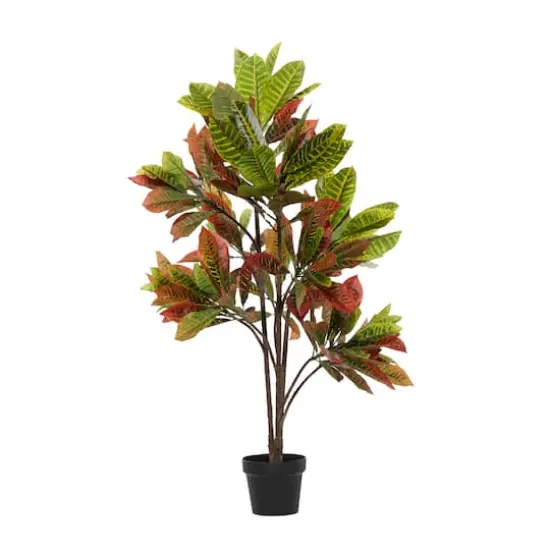 46" Potted Croton Shrub Tree {4}