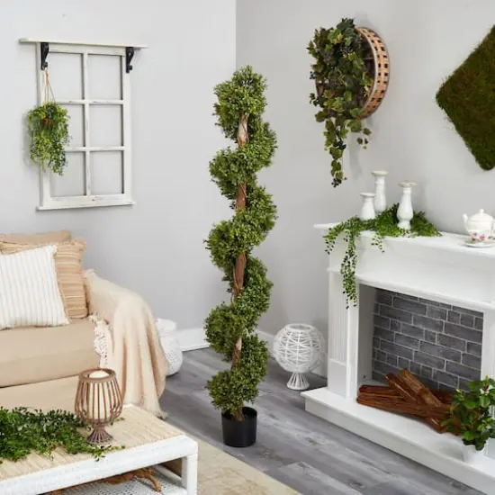 6ft. Potted Spiral Boxwood Topiary Tree {5}