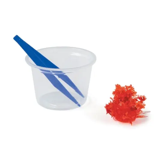 MindWare&reg; 12 Days of Crystal Science {5}