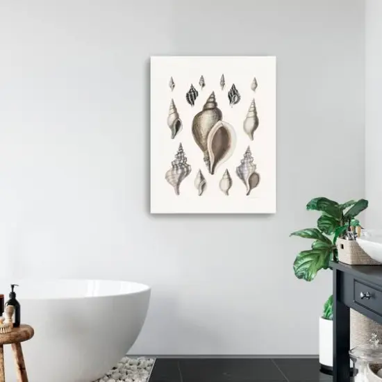 Vintage Shell II Canvas Giclee {3}