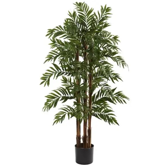 4ft. Potted Parlour Palm Tree {1}