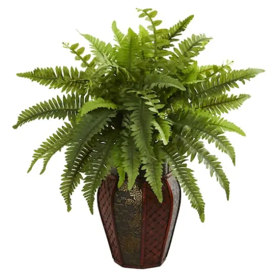 20" Boston Fern Plant in Decorative Planter {1}