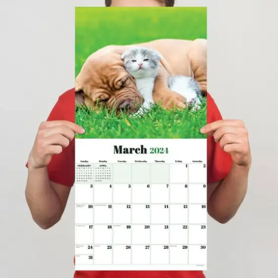 TF Publishing 2024 Furry Friends Wall Calendar {6}