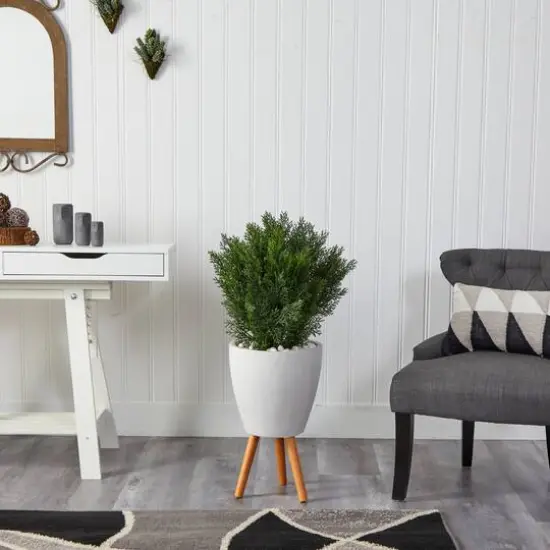 3ft. Cedar Tree in White Planter with Stand {4}
