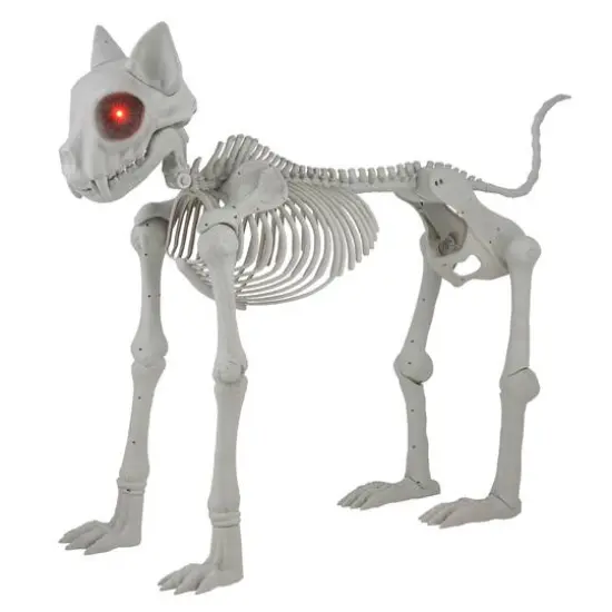 5ft. Oversized Posable Cat Skeleton by Ashland&reg; {4}