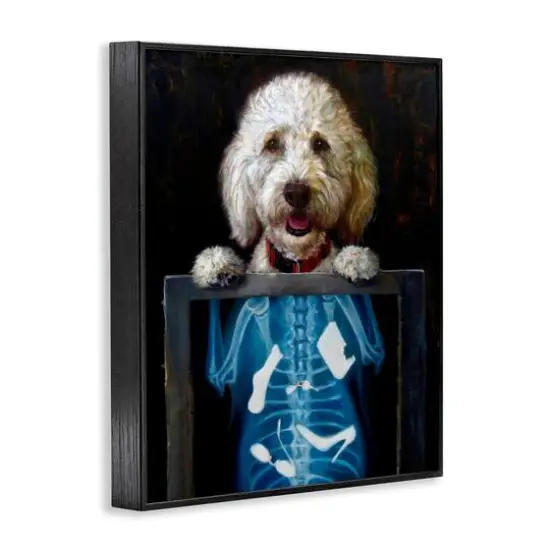 Stupell Industries Funny Dog X-Ray Snacks Framed Giclee Art Black {4}