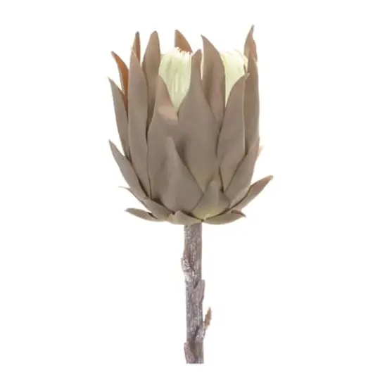 Tan Protea Stem, 6ct. {3}