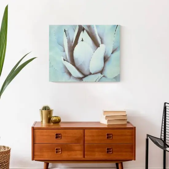 Green Succulent 20" x 16" Canvas Wall Art {5}