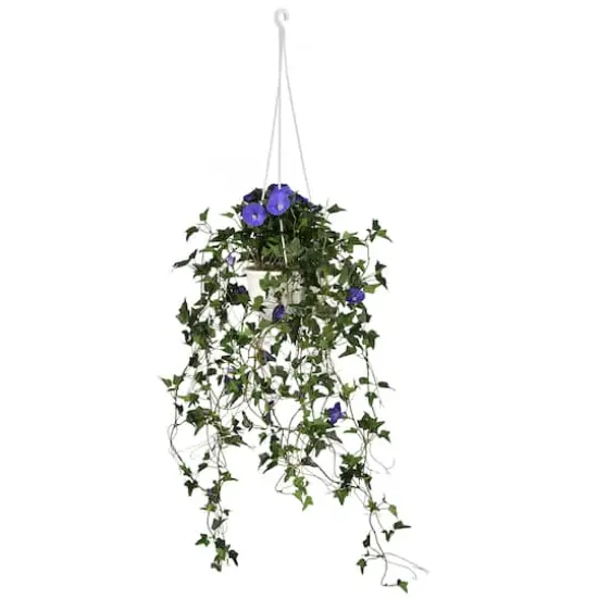3.5ft. Purple Morning Glory Hanging Plant {1}