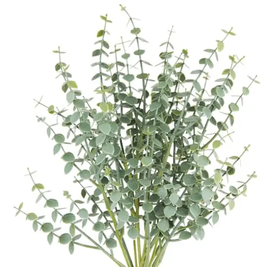 Eucalyptus Bush by Ashland&reg; {3}
