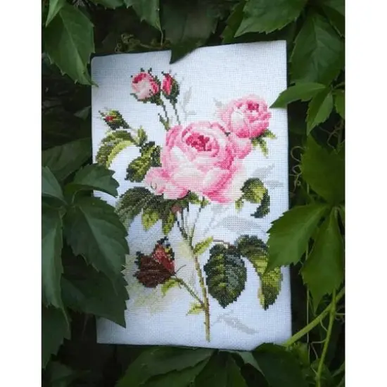 Alisa Rose And Butterfly Cross Stitch Kit {7}