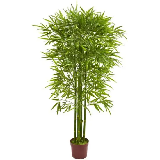 5.5ft. Potted Bamboo Tree {1}